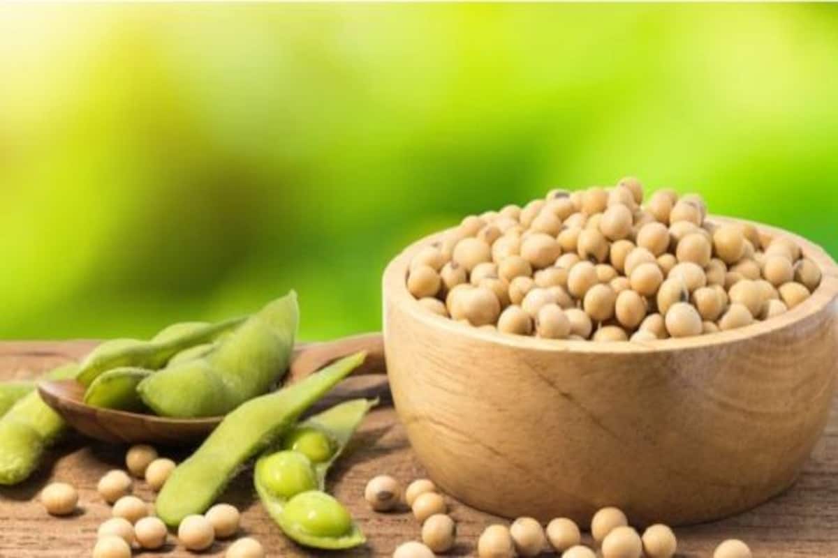 soya bean: know the health benefits | TheHealthSite.com