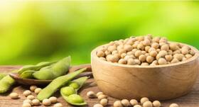 Want stronger bones? Include soya bean in your meal bowl