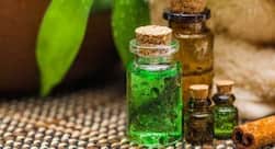 Tea tree oil: Use it and get a glowing skin