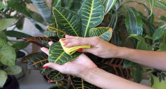 Tips to avoid indoor pollution, Air pollution hazards, healthy enviornment, prmature deaths cause, lungs cancer cause, tips to get rid air pollution.