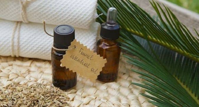 Fennel oil - Beauty benefits of fennel oil, Benefits of feenl seeds | Fennel oil - Beauty benefits of fennel oil, Benefits of feenl seeds |
