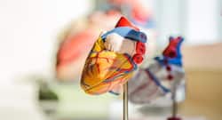 बदलती जीवनशैली और खान-पान में अपने हार्ट का कैसे रखें ध्यान