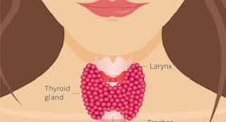 Hyperthyroidism: Foods that can help you deal with this condition