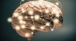 Nutrients that your brain needs