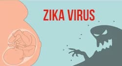 Zika virus: Delayed treatment can cause these complications