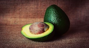 Weight Loss Tips : डाइट में एवोकाडो करें शामिल मोटापा होगा कम, जानें अन्य फायदे