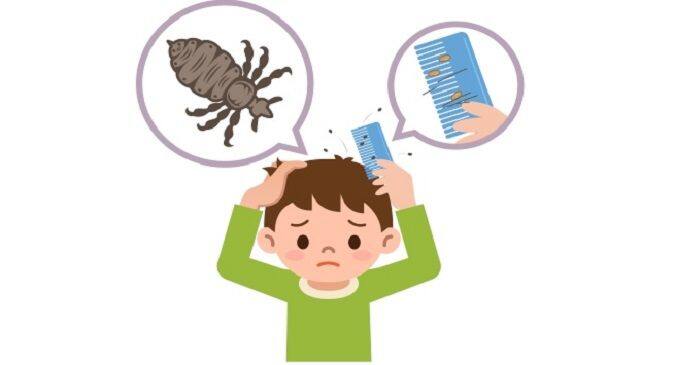 Head lice - get rid of it naturally 