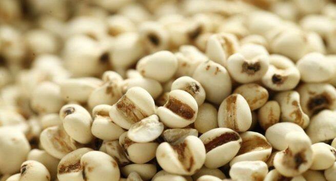 how to make barley Jau water for weight loss