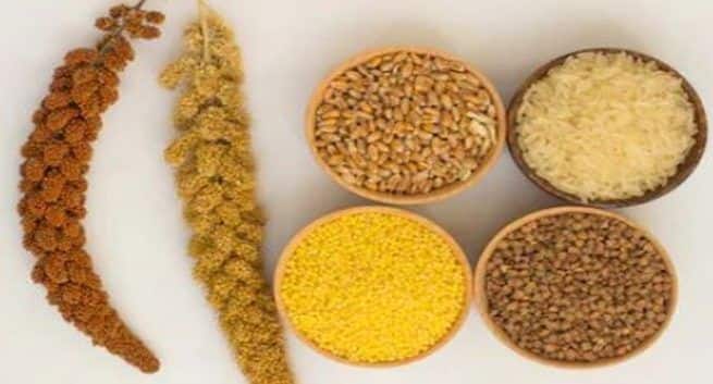 Multigrain benefits, benefits of diferent grains, whole wheat benefits , eating rice benefits, oats benefits, how to eat multigrain in a day.
