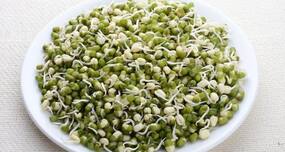 Healthy Recipe: मूंग दाल से बना हुम्मोस है एक हेल्दी डिप,शिल्पा शेट्टी ने शेयर की रेसिपी