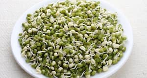 Healthy Recipe: मूंग दाल से बना हुम्मोस है एक हेल्दी डिप,शिल्पा शेट्टी ने शेयर की रेसिपी