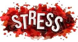 आपकी सेहत और मेमोरी दोनों खराब कर सकता है तनाव, इस तरह करें बचाव