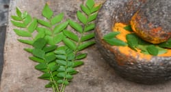 भारतीय पारम्परिक तरीके से बनी चटनी खाने के 3 हेल्दी फायदे