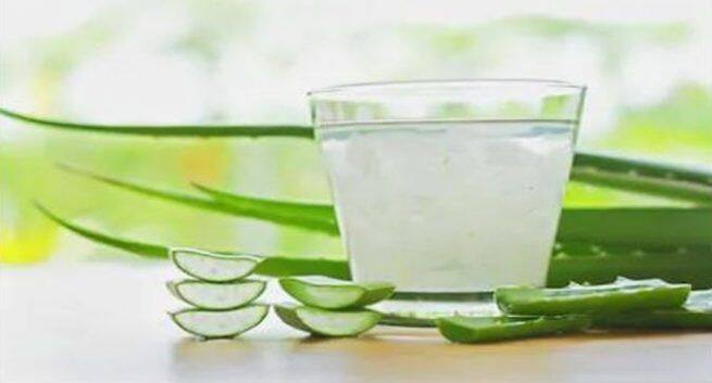 weight loss with aloe vera, beauty benefits of aloe vera, health benefits of aloe vera, aloe vera juice recipe, How to prepare aloe vera juice at home. 