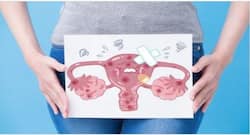 Uterus Tuberculosis : गर्भाशय में भी होती है टीबी, जानें इसके लक्षण, कारण और इलाज