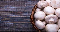 Study says consumption of mushrooms reduces the risk of prostate cancer