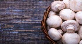 Study says consumption of mushrooms reduces the risk of prostate cancer