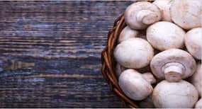 Study says consumption of mushrooms reduces the risk of prostate cancer