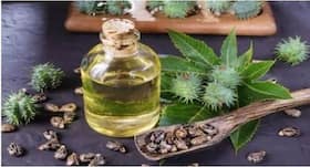 Hair Care with Castor Oil : बालों को जड़ से बनाना है मजबूत तो लगाएं कैस्टर ऑयल, जानें इसके ये फायदे भी