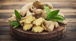 Ginger Benefits: इंफ्लुएंज़ा, माइग्रेन और सर्दी-खांसी से बचने के लिए सर्दियों में ज़रूर खाएं अदरक