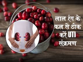बार-बार पेशाब वाली जगह पर हो जाता है इंफेक्शन? लाल रंग की ये बेरी का सेवन कम करेगा इंफेक्शन, मिलेंगे चौंकाने वाले फायदे