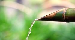Bamboo Bottle : प्लास्टिक नहीं अब मिलेगा बैम्बू बॉटल्स में पानी, बांस के बोतल में पिएंगे पानी तो होंगे कई लाभ