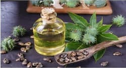 Try castor oil for acne free skin during summer