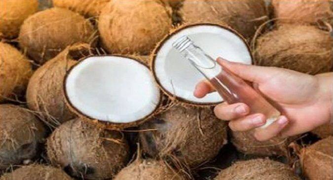 Coconut oil, liver damage, allergies, heart disease, bad cholesterol, diet, saturated fat, cholesterol and triglycerides, coronary diseases, unhealthy food, monounsaturated fats, polyunsaturated fatty acids