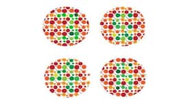 What do you understand from the term colour blindness?