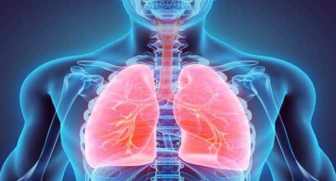 Get rid of fat in the lungs for overall health « thehealthsite.com