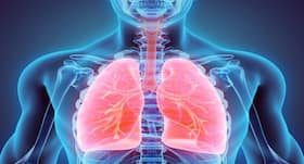 Get rid of fat in the lungs for overall health