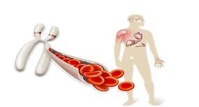 Boost your blood circulation by adding these 5 foods to your diet