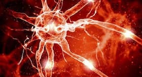 Are you suffering from hormonal imbalance? Deal with it naturally