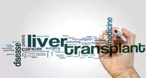 Criteria For Live Donor Liver Transplants: What Do You Need To Know?