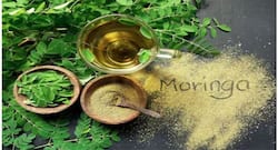 Moringa: The superfood that can prevent cancer and more