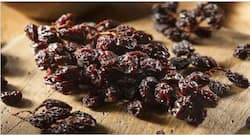 Munakka Benefits : एनीमिया, कब्ज से बचाए मुनक्का और भी होते हैं कई लाभ, जानें यहां