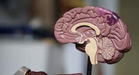 Keep your brain active even at the age of 80, here’s how Keep your brain active even at the age of 80, here’s how