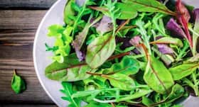 Saag Benefits : पांच तरह के ये साग सेहत के हैं साथी, सर्दी में खाएं और बचे रहें कई रोगों से