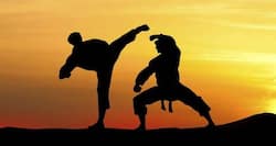 Can practising martial arts help you lose weight?