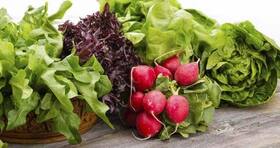 5 natural sources of vitamin B9 you need in your diet 5 natural sources of vitamin B9 you need in your diet