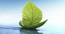 India wants AYUSH to be globally recognised