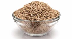 Side Effects of Carom Seeds: माउथ अल्सर होता है बार-बार, तो अजवायन कम खाएं, जानें इस मसाले के बाकी साइड-इफेक्ट्स