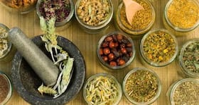 Alternative treatments and preventive measures for allergic rhinitis