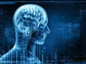 Revealed - how our brain integrates multiple signals to identify unique smells!