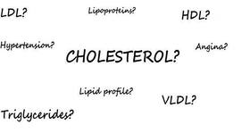 Corn oil better at cutting cholesterol than extra virgin olive oil