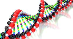 'Low allergy' milk from genetically modified cow