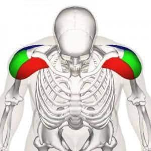 Know your exercise: Dumbbell side raise