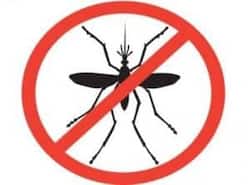 Why are private hospitals more dengue prone?