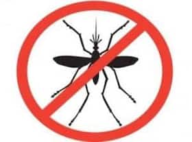 Iranian technology to control dengue Iranian technology to control dengue