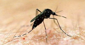 Dengue outbreak under-control: TN Health Minister